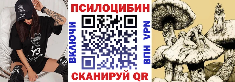 Псилоцибиновые грибы мухоморы цены наркотик Емва